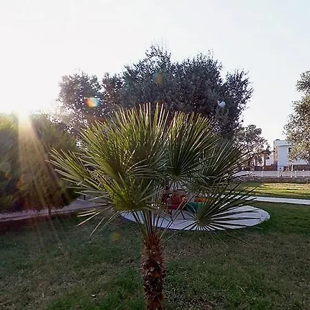 Club Alisya Hotel Torba
