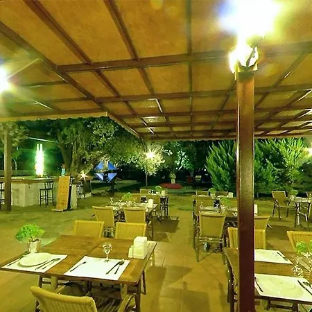 Club Alisya 4*