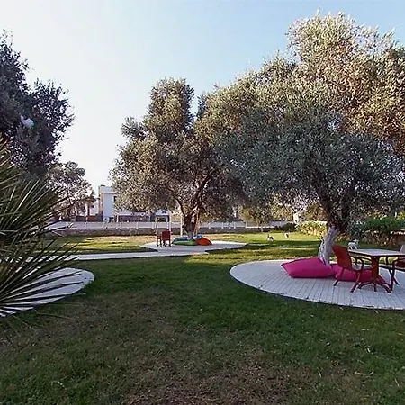Club Alisya מלון 4*