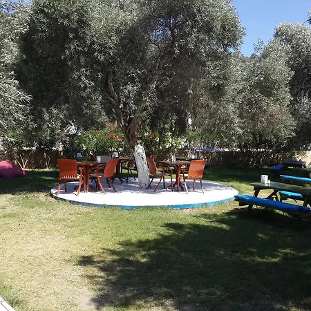 Club Alisya