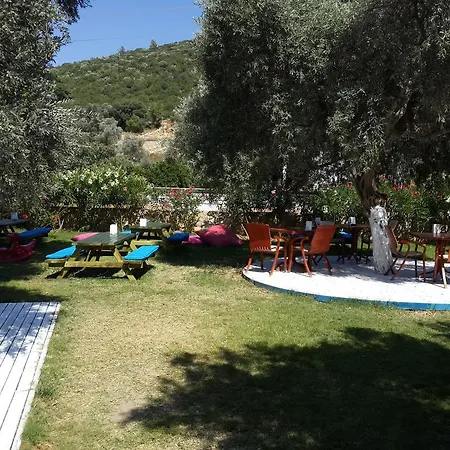 Club Alisya מלון 4*