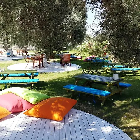Club Alisya 4* Torba