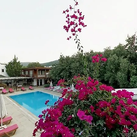 Club Alisya Hotel Torba